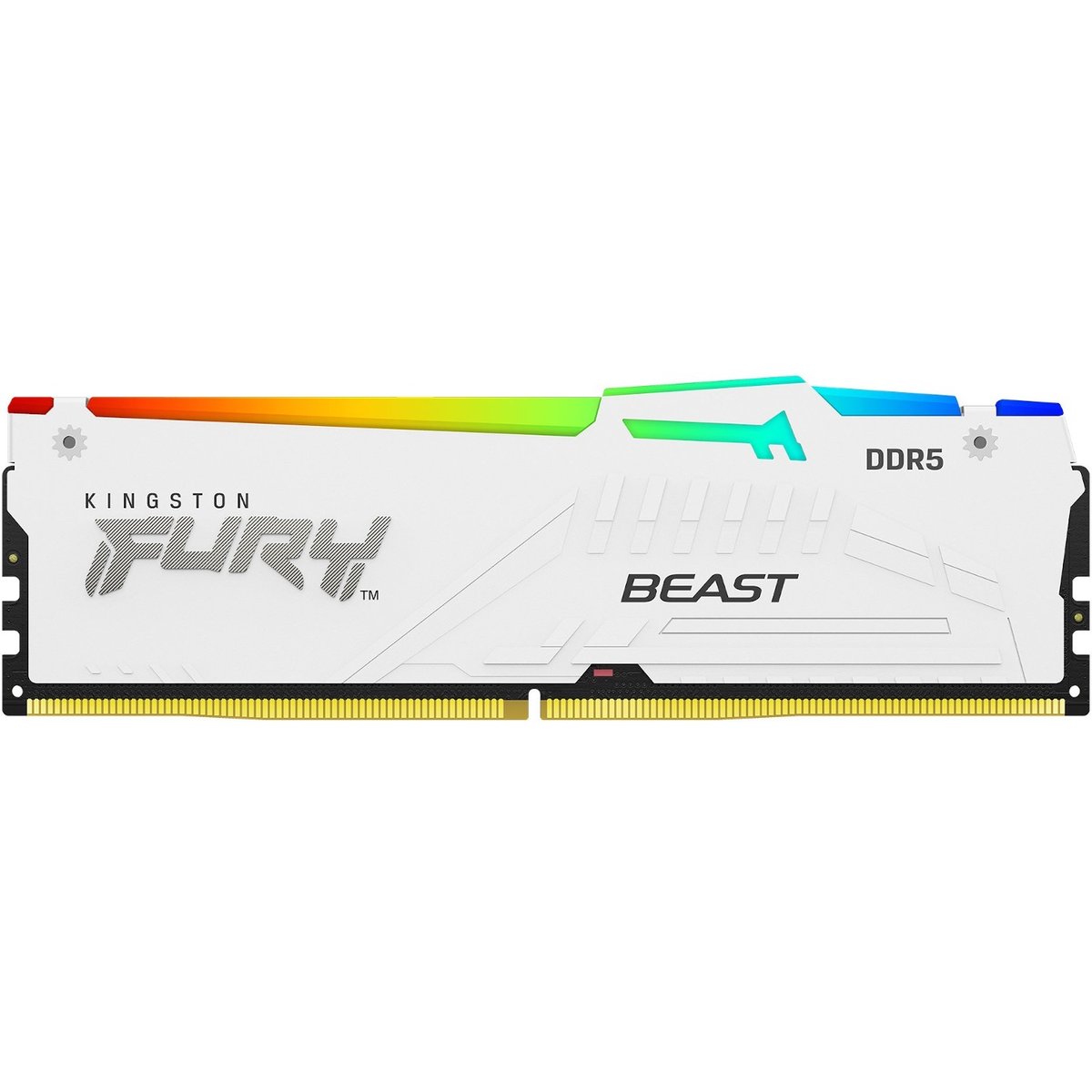 Kingston FURY Beast 16GB DDR5 SDRAM Memory Module | PCNation