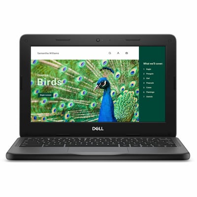 Dell Chromebook 3000 3120 11.6" Clamshell Chromebook - HD - 60 Hz - Intel N-Series N100 - 4 GB - 64 GB Flash Memory - English (US) Keyboard