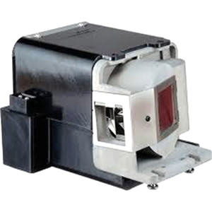 BenQ 5J.J0605.001 Replacement Lamp