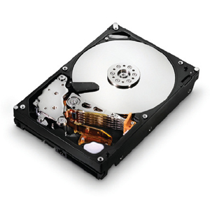 HGST DESKSTAR 7K2000 2TB 3.5 INTERNAL HARD DRIVE 7200RPM HOT