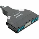 40G-10G SFQ OM3 STD LOSS 8F