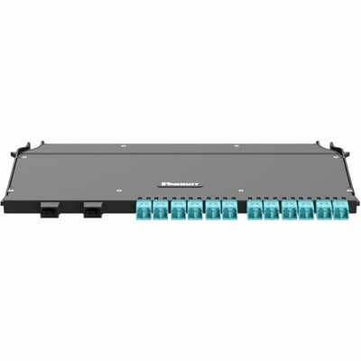 24F OM4+ LC TO 2X MPO12 UNIV P