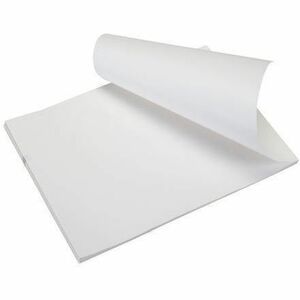 PREMIUM FANFOLD LETTER SIZE 20 YR ARCHIVEABILITY 100 SHEET STACK