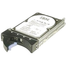IBM - IMSourcing Certified Pre-Owned 43X0825 146 GB Hard Drive - 2.5" Internal - SAS (3Gb/s SAS)