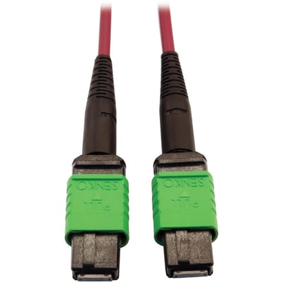 Eaton Tripp Lite Series 400G Multimode 50/125 OM4 Plenum-Rated Fiber Optic Cable, 16F MTP/MPO-APC (F/F), Magenta, 3 m