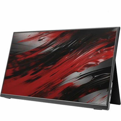 16IN PORTABLE MONITOR