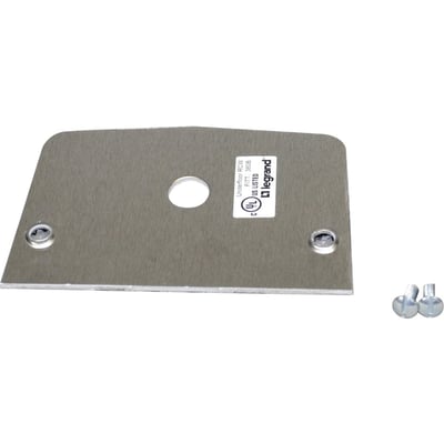 Wiremold 500 Faceplate