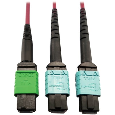Eaton Tripp Lite Series 400G Multimode 50/125 OM4 Plenum Fiber Optic Cable, 16F MTP/MPO-APC to (x2) 12F MTP/MPO-UPC (F/F), Magenta, 1 m