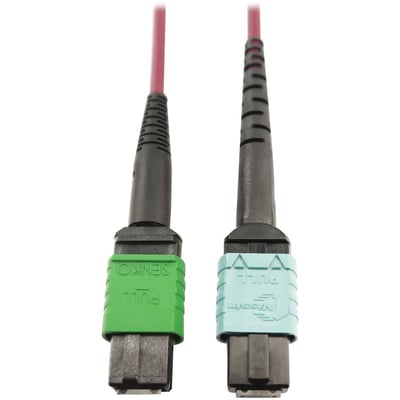 Eaton Tripp Lite Series 400G Multimode 50/125 OM4 Plenum Fiber Optic Cable, 16F MTP/MPO-APC to 24F MTP/MPO-UPC (F/F), Magenta, 1 m