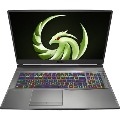 MSI Alpha 17 A4DEK-011 17.3" Gaming Notebook - Full HD - 1920 x 1080 - AMD Ryzen 7 4800H 2.90 GHz - 16 GB Total RAM - 1 TB SSD - Aluminum Black