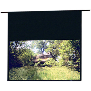 Draper Access 104312 165" Electric Projection Screen