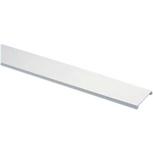 6FT RACEWAY COVER ELECTRIC IVRY