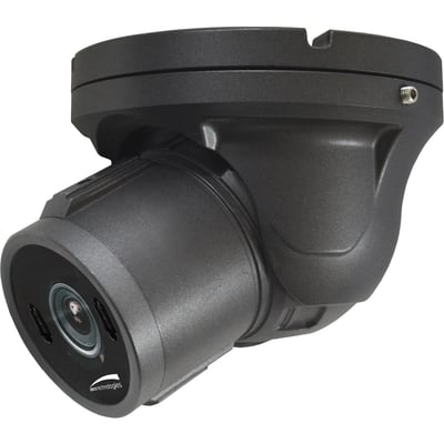 2MP HD-TVI INTENSIFIERT VANDAL TURRET