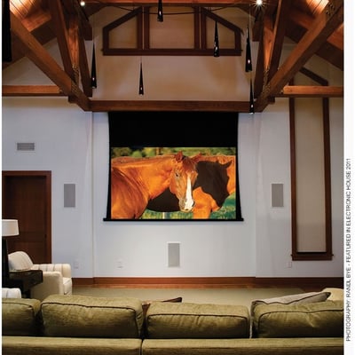 Draper Access V 193" Projection Screen