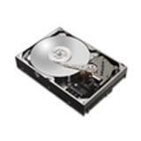 Maxtor DiamondMax 11 500 GB Hard Drive - 3.5" Internal - SATA (SATA/300)