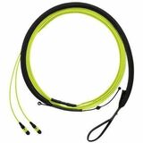 Panduit QuickNet PanMPO Female Trunk Cable Assembly, HD Flex Transition