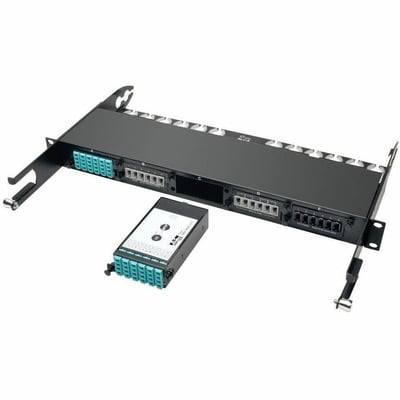 Tripp Lite by Eaton 100Gb/120Gb to 10Gb Breakout Cassette - 24-Fiber OM4 MTP/MPO ( Male with Pins ) to (x12) LC
