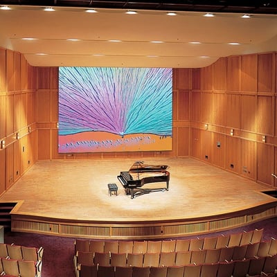 Draper Paragon E 300" Projection Screen