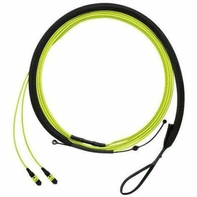 Panduit QuickNet PanMPO Female Trunk Cable Assembly, HD Flex Transition