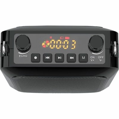 PERSONAL WRLS VOICE AMPLIFIER