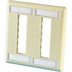 FPTJ6HOLEDGPCELEC IVY