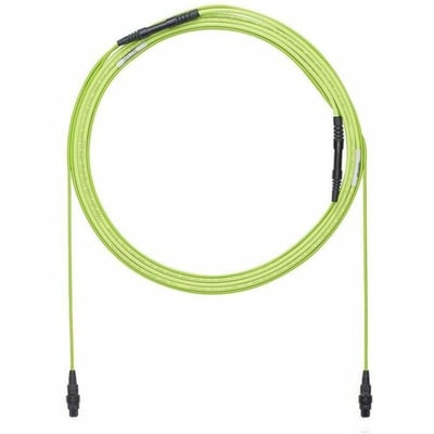 OM5 SIG CORE 12F TRUNK LSZH PANMPO F/EA