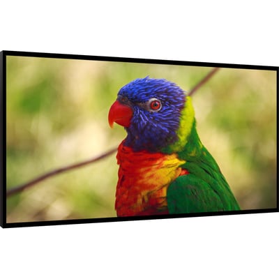 DynaScan 65" 800 nit High Brightness Fanless LCD with Narrow Bezel - DI651ST2