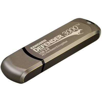 1TB DEFENDER 3000 FLASH DRIVE 140-2 ENCRYPTED FLASH DRIVE