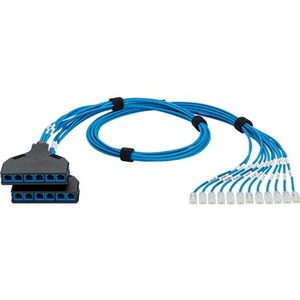 10FT QN SWPT HNS CAT6 28AWG BU 12MP 2PTC