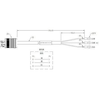N1C Accessory N1C.LR-L143010 - L14-30P Input cable