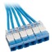 29FT COPQN TRNK CAT6 UTP RIS CASS BU STD