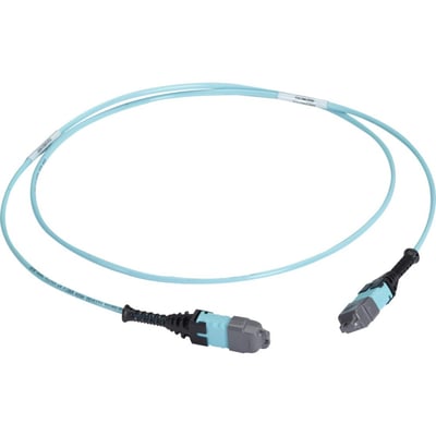 Black Box MTP OM3 Fiber Optic Trunk Cable - Plenum, 12-Strand, Type A