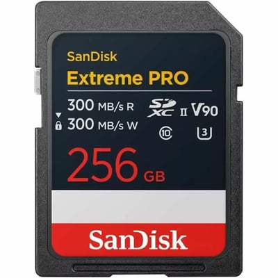 SDSDXDM-256G-GN4IN