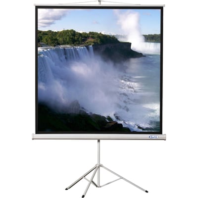 Hamilton Buhl 70.7" Projection Screen