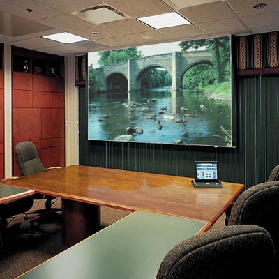 Draper Ultimate Access E 113" Projection Screen