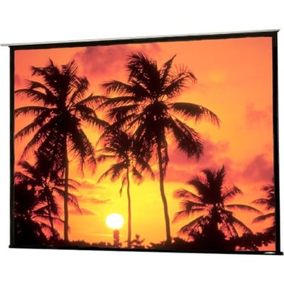 Draper Access 104311 137" Electric Projection Screen
