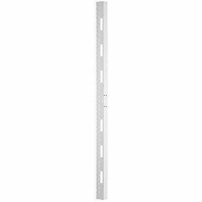 Panduit Equipment Rail Kit, 700mm x 42RU, White