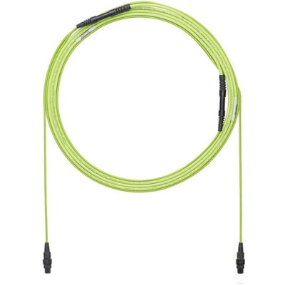 Panduit Trunk Cable Assembly