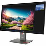 P32UD-40(C25315UP0)31.5 MONITOR -HDMI CAM