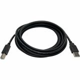 Black Box USB/USB-B Data Transfer Cable