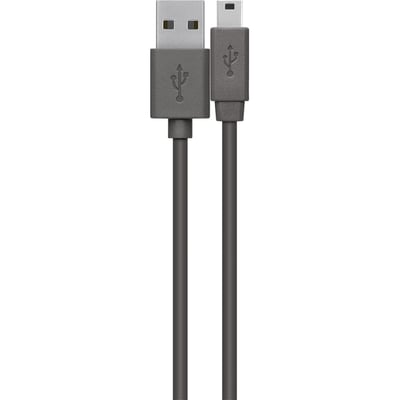 CABLE,USB,USBA/USBMINI5PB,1.8M,POWER/DATA,PRO