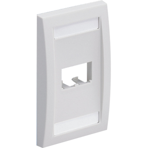 FACEPLATE 2PT SGL GANG EXEC ELECTRC IVRY