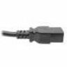 POWER CORD C14 C21 HEAVY-DUTY 15A 250V 14 AWG 2 FT. 0.6 M BLACK - Thumbnail 4