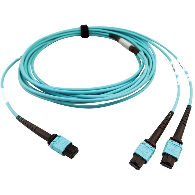 Eaton Tripp Lite Series 400G Multimode 50/125 OM4 Plenum Fiber Optic Cable, 24F MTP/MPO-PC to (x2) 12F MTP/MPO-PC (F/F), Aqua, 5 m - Thumbnail 2