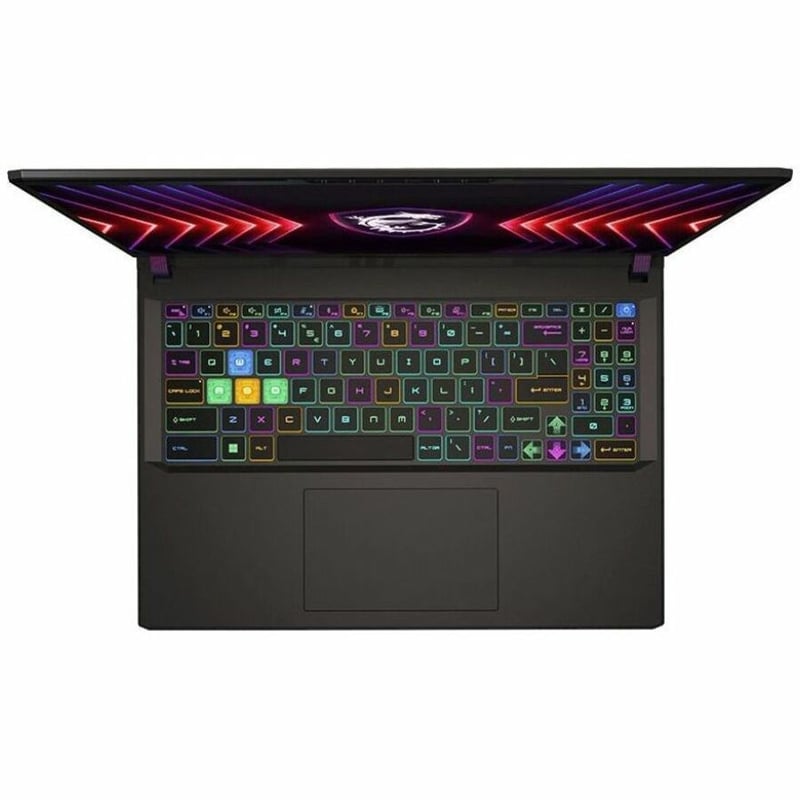 VECTOR 16 HX A14VIG-636TAA I9-14900HX/RTX4090/64GB/2TBSSD/W11P - Thumbnail 2