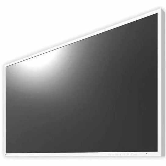 EIZO CuratOR EX4342 43" Class 4K UHD LED Monitor - 16:9 - White
