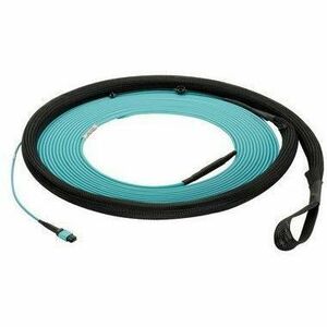 24-FIBER LSZH TRUNK PANMPO-B T