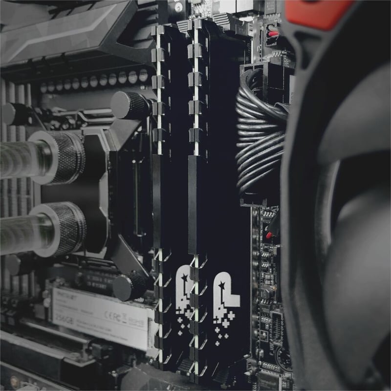 Patriot Memory Signature Line Premium 16GB DDR4 SDRAM Memory Module - Thumbnail 5