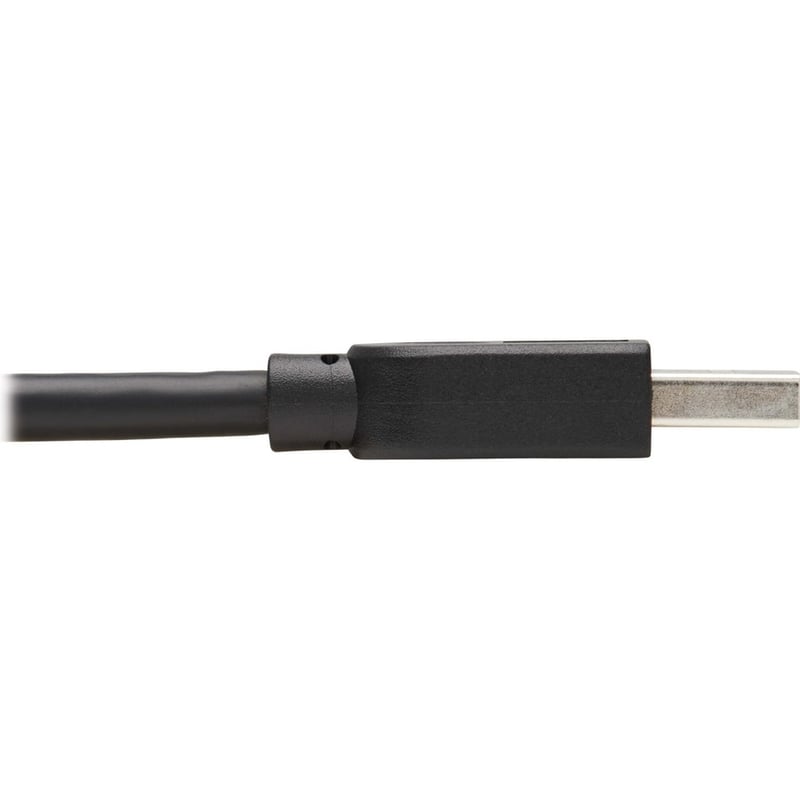 Eaton Tripp Lite Series USB 3.0 SuperSpeed A to A Cable for USB 3.0 All-in-One Keystone/Panel Mount Couplers (M/M), Black,15 ft. (4.6 m) - Thumbnail 4