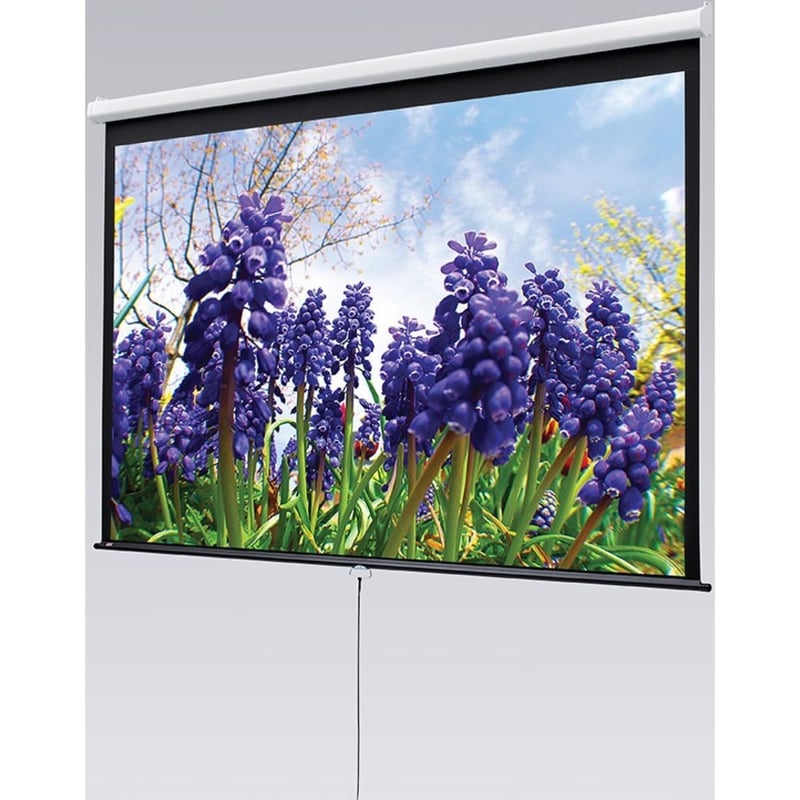Draper Luma 100" Manual Projection Screen - Thumbnail 4